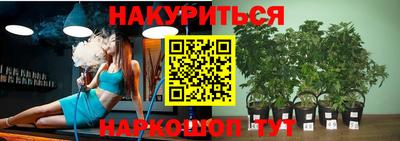 шишки Будённовск