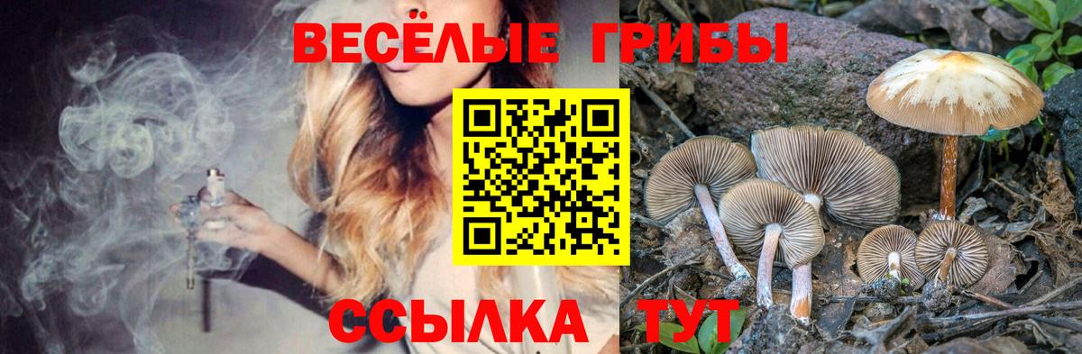 купить наркоту  Галлюциногенные грибы Magic Shrooms  Вход с VPN  Псилоцибиновые грибы ЛСД  Рыбинск 