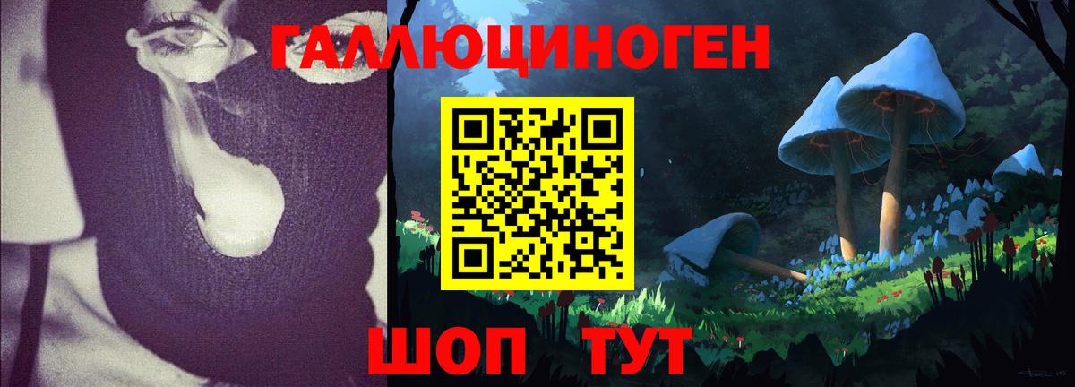 Псилоцибиновые грибы Psilocybine cubensis Рыбинск